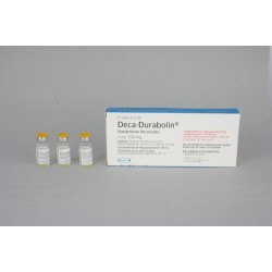 Buy Nandrolone decanoate Online N. V. Organon Oss Holandsko